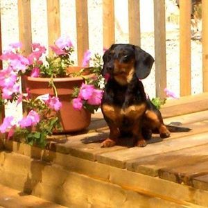 Meet your Posher, Debbie